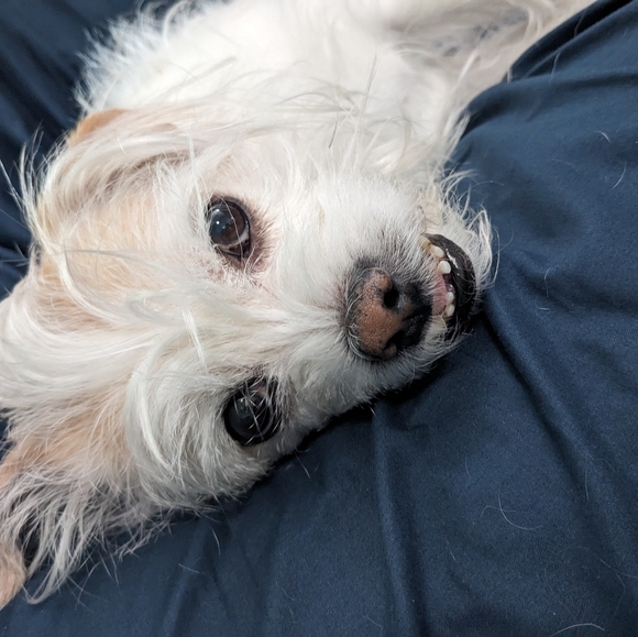 Sending good vibes!!๐โจ๐ฎ๐๐ซถ๐ - Picture 10 of 10